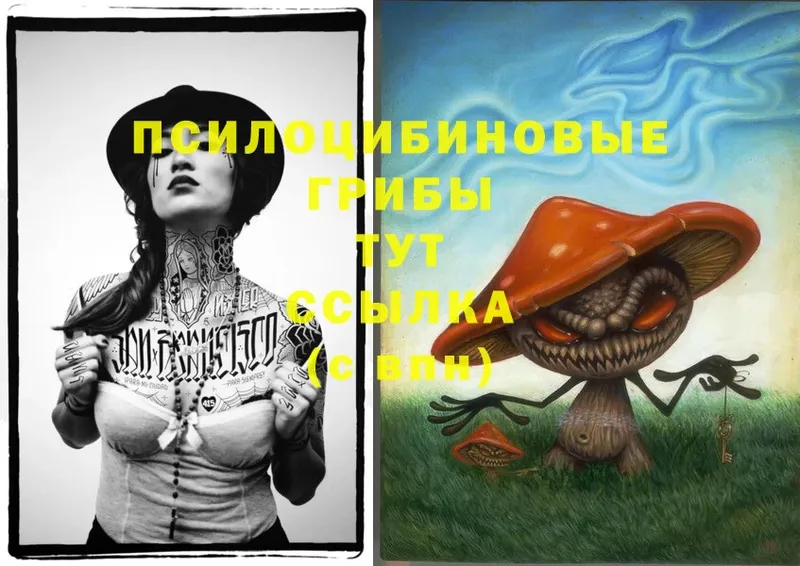 Галлюциногенные грибы Magic Shrooms  Ершов 